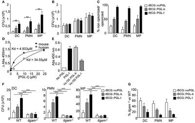 CR3 Engaged by PGL-I Triggers Syk-Calcineurin-NFATc to Rewire the Innate Immune Response in Leprosy